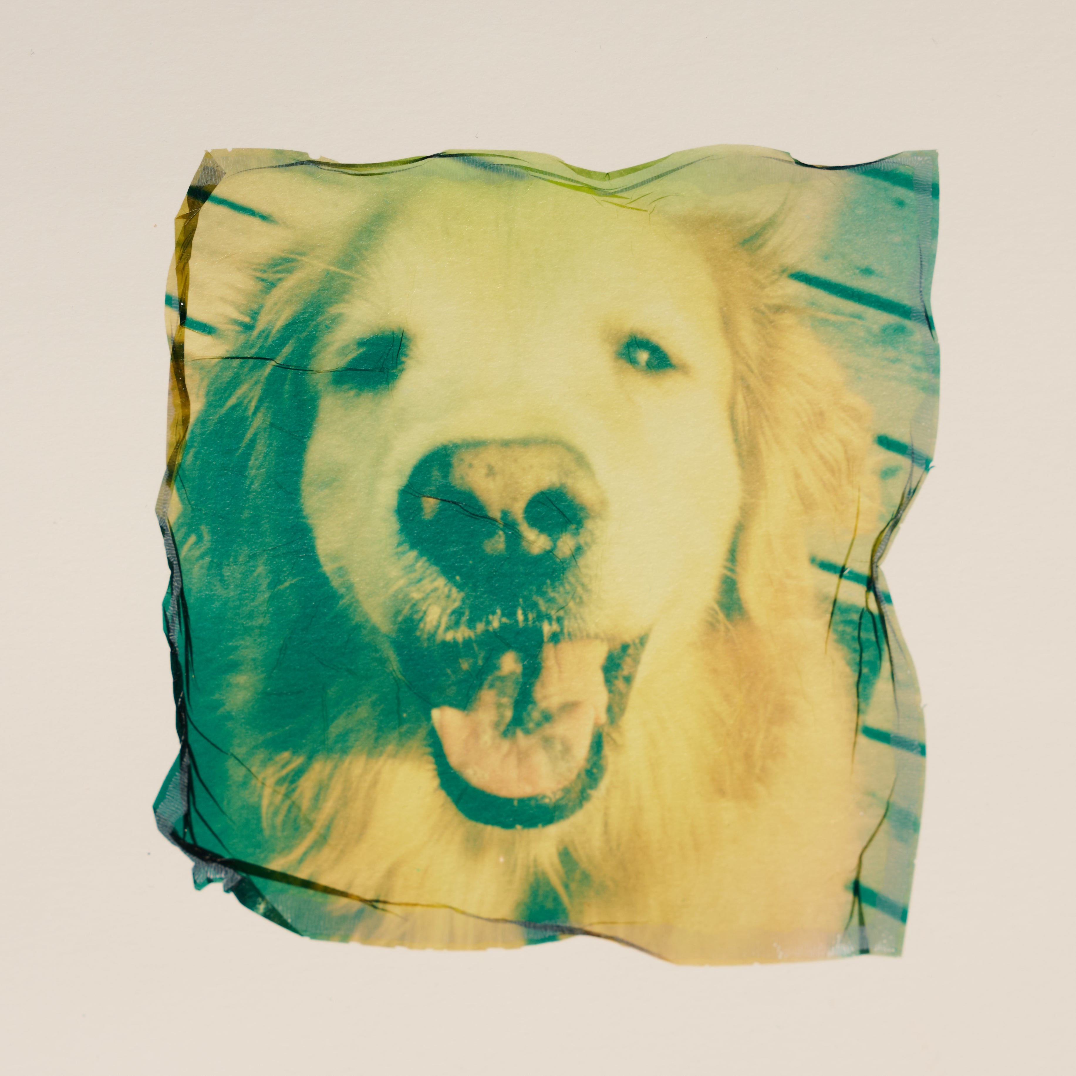 Custom Polaroid Emulsion Print