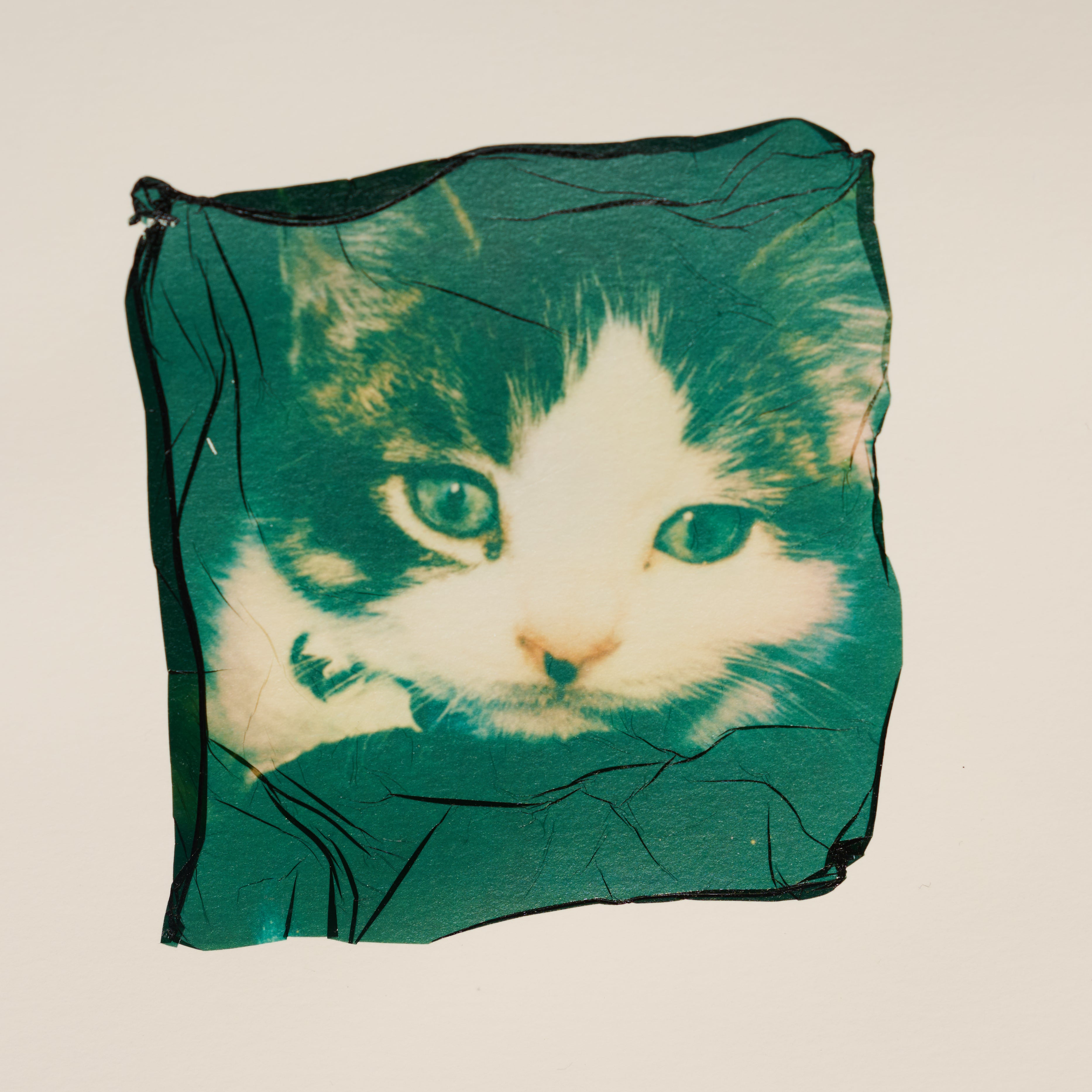 Custom Polaroid Emulsion Print